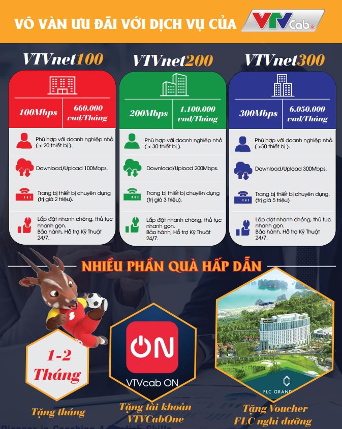 Internet doanh nghiep VTVCab