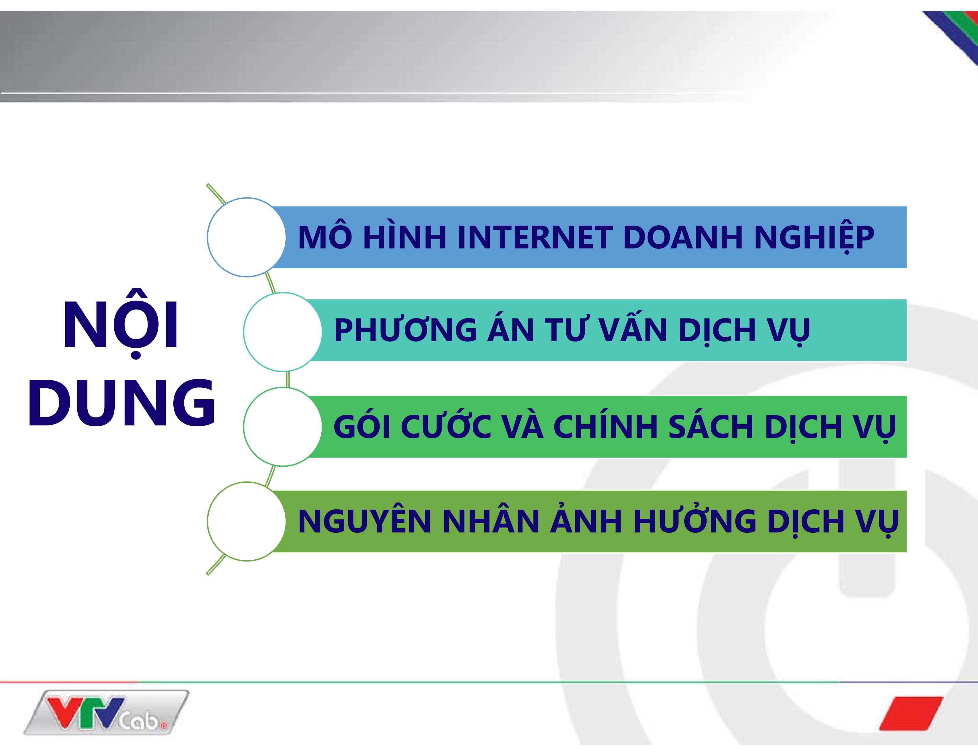 Internet doanh nghiep VTVCab