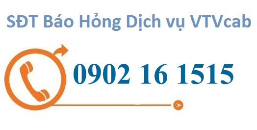 Xu-ly-loi-thuong-gap-khi-su-dung-Internet-VTVCab-nam-2024